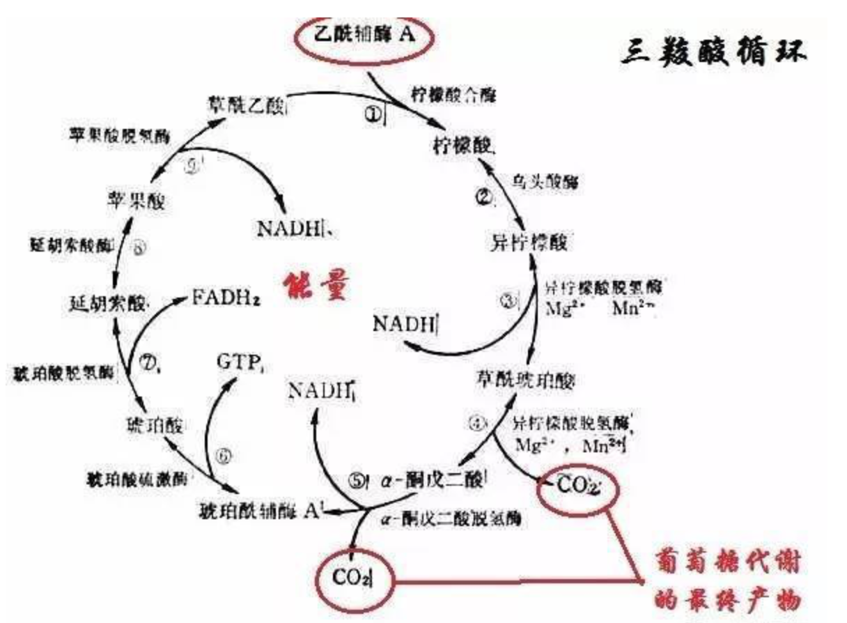 众联网校重新引领学以致用