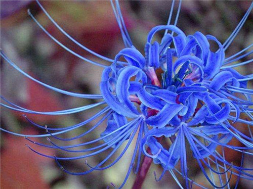 众联网校重新引领学以致用